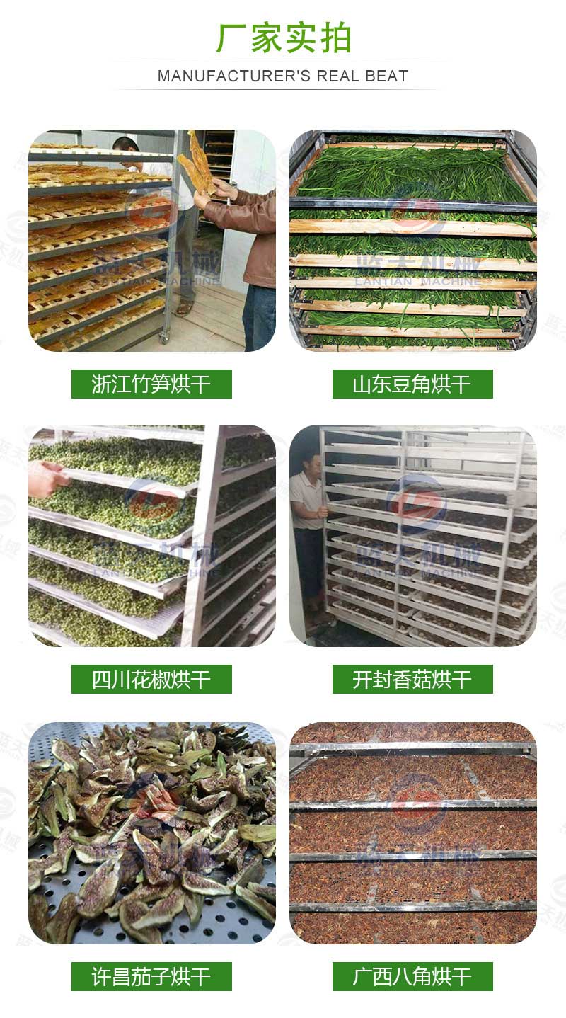 豆角烘干機(jī)廠家實(shí)拍